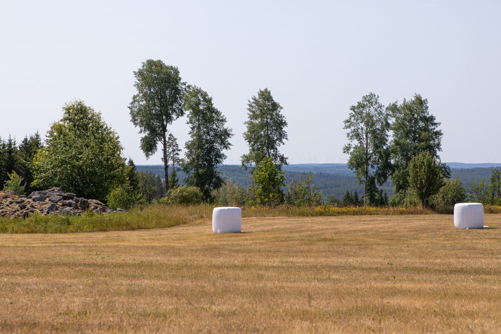 Dekorativ bild av en åker med skog i bakgrunden och två vita höbalar.