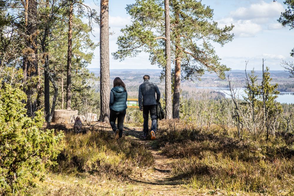 Man och kvinna i skogen, dekorativ illustration.
